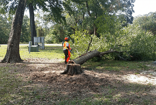 Vegetation Management | LNL Group